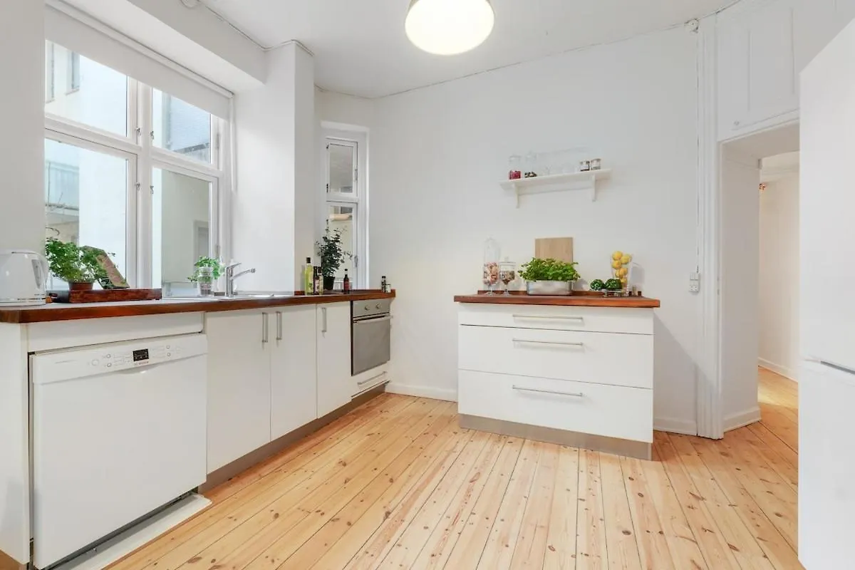 Spacious And Stylish Apt In Cph Copenhagen