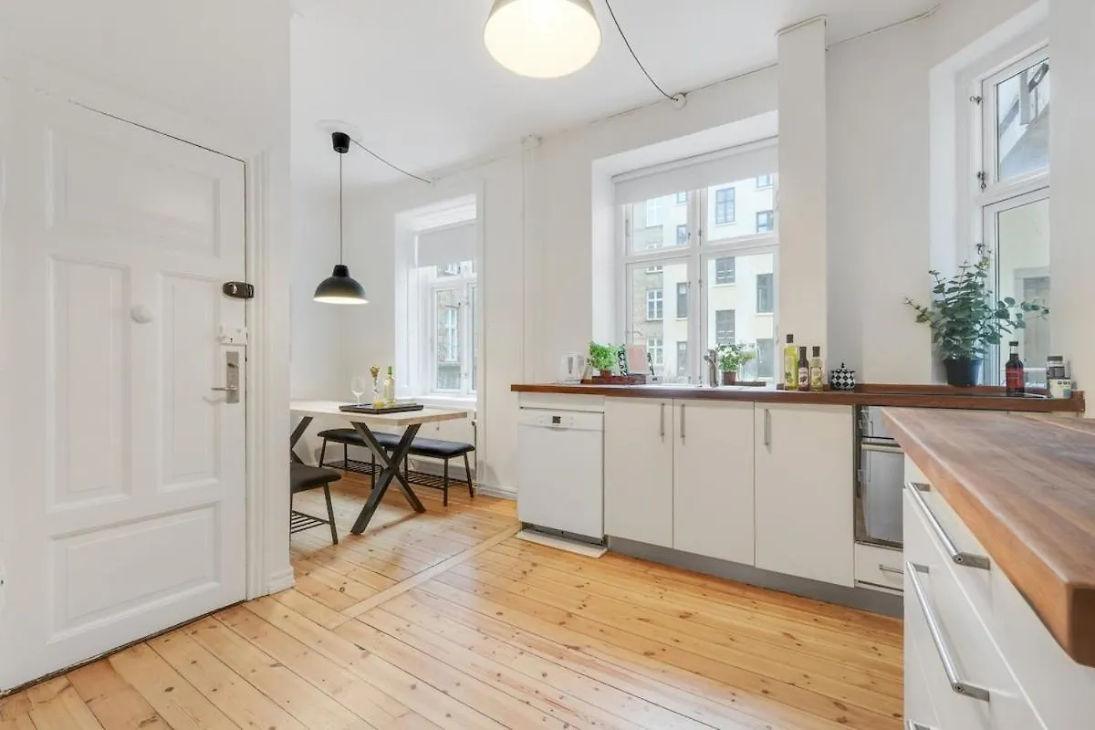 Apartment Spacious And Stylish Apt In Cph Copenhagen